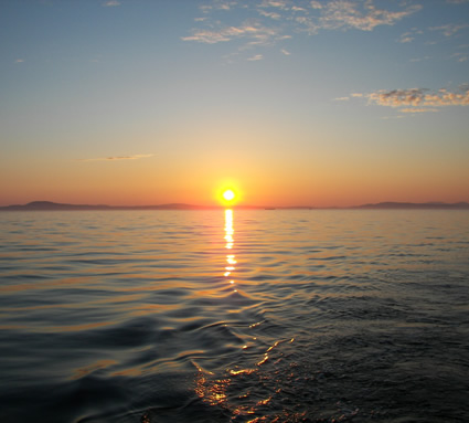 image02